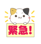 でか文字♦災害安否用♦みけねこスタンプ（個別スタンプ：17）