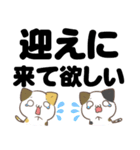 でか文字♦災害安否用♦みけねこスタンプ（個別スタンプ：18）