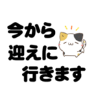 でか文字♦災害安否用♦みけねこスタンプ（個別スタンプ：19）