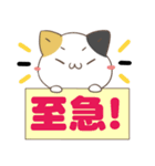 でか文字♦災害安否用♦みけねこスタンプ（個別スタンプ：20）