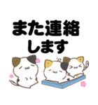 でか文字♦災害安否用♦みけねこスタンプ（個別スタンプ：24）