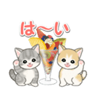 もこもこ猫ちゃんズと夏スイーツ（個別スタンプ：1）