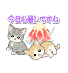 もこもこ猫ちゃんズと夏スイーツ（個別スタンプ：5）