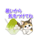 もこもこ猫ちゃんズと夏スイーツ（個別スタンプ：7）