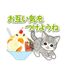 もこもこ猫ちゃんズと夏スイーツ（個別スタンプ：8）