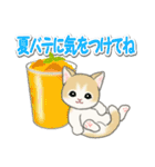 もこもこ猫ちゃんズと夏スイーツ（個別スタンプ：10）