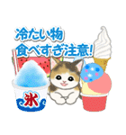 もこもこ猫ちゃんズと夏スイーツ（個別スタンプ：11）