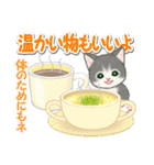 もこもこ猫ちゃんズと夏スイーツ（個別スタンプ：12）