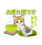もこもこ猫ちゃんズと夏スイーツ（個別スタンプ：13）