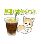 もこもこ猫ちゃんズと夏スイーツ（個別スタンプ：15）