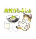 もこもこ猫ちゃんズと夏スイーツ（個別スタンプ：16）