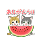 もこもこ猫ちゃんズと夏スイーツ（個別スタンプ：17）