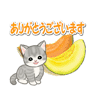 もこもこ猫ちゃんズと夏スイーツ（個別スタンプ：18）