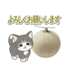 もこもこ猫ちゃんズと夏スイーツ（個別スタンプ：19）