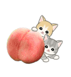 もこもこ猫ちゃんズと夏スイーツ（個別スタンプ：20）