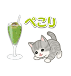 もこもこ猫ちゃんズと夏スイーツ（個別スタンプ：28）