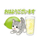もこもこ猫ちゃんズと夏スイーツ（個別スタンプ：33）