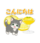 もこもこ猫ちゃんズと夏スイーツ（個別スタンプ：35）