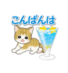 もこもこ猫ちゃんズと夏スイーツ（個別スタンプ：36）