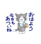 夏に使うゆかいな猫たちのスタンプ（個別スタンプ：1）