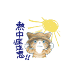 夏に使うゆかいな猫たちのスタンプ（個別スタンプ：6）