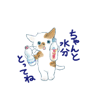 夏に使うゆかいな猫たちのスタンプ（個別スタンプ：7）