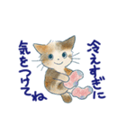 夏に使うゆかいな猫たちのスタンプ（個別スタンプ：8）