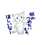 夏に使うゆかいな猫たちのスタンプ（個別スタンプ：19）