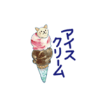 夏に使うゆかいな猫たちのスタンプ（個別スタンプ：22）