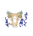 夏に使うゆかいな猫たちのスタンプ（個別スタンプ：37）