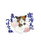 夏に使うゆかいな猫たちのスタンプ（個別スタンプ：39）