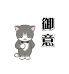 執事猫ちゃん（個別スタンプ：5）
