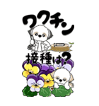 【Big】シーズー犬33『日常に花を！』（個別スタンプ：3）