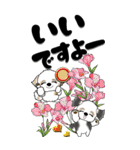 【Big】シーズー犬33『日常に花を！』（個別スタンプ：11）