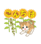 ちび猫の夏（個別スタンプ：3）