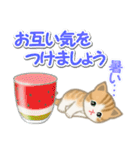ちび猫の夏（個別スタンプ：8）