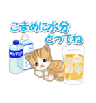 ちび猫の夏（個別スタンプ：9）