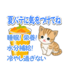 ちび猫の夏（個別スタンプ：10）