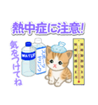 ちび猫の夏（個別スタンプ：12）