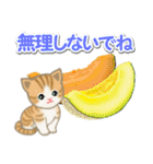 ちび猫の夏（個別スタンプ：19）