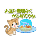 ちび猫の夏（個別スタンプ：20）
