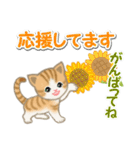 ちび猫の夏（個別スタンプ：26）