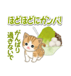 ちび猫の夏（個別スタンプ：28）