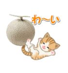 ちび猫の夏（個別スタンプ：29）