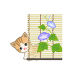 ちび猫の夏（個別スタンプ：34）