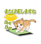 ちび猫の夏（個別スタンプ：40）