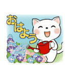可愛い猫さん達のスタンプ♡夏編（個別スタンプ：1）