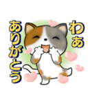可愛い猫さん達のスタンプ♡夏編（個別スタンプ：9）