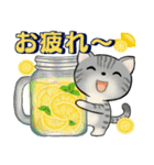 可愛い猫さん達のスタンプ♡夏編（個別スタンプ：13）