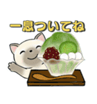可愛い猫さん達のスタンプ♡夏編（個別スタンプ：15）
